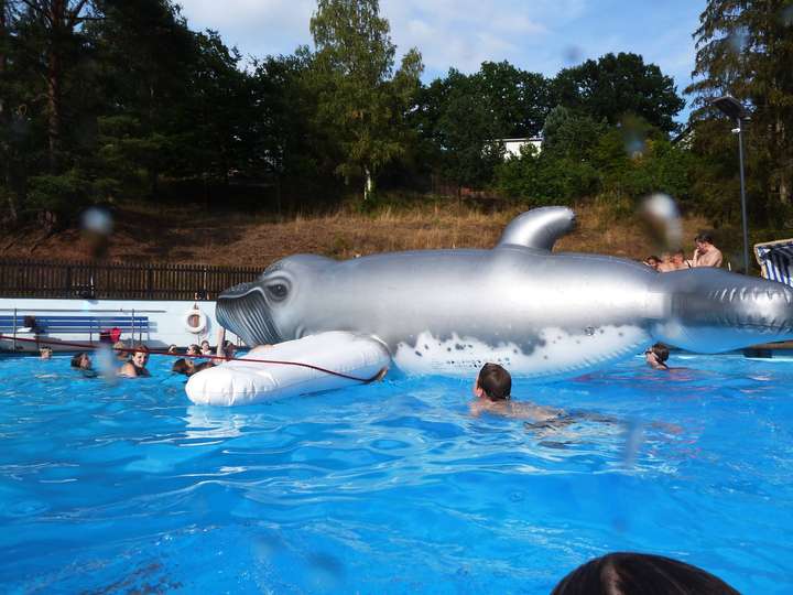 großer Schwimmtierwal im Becken